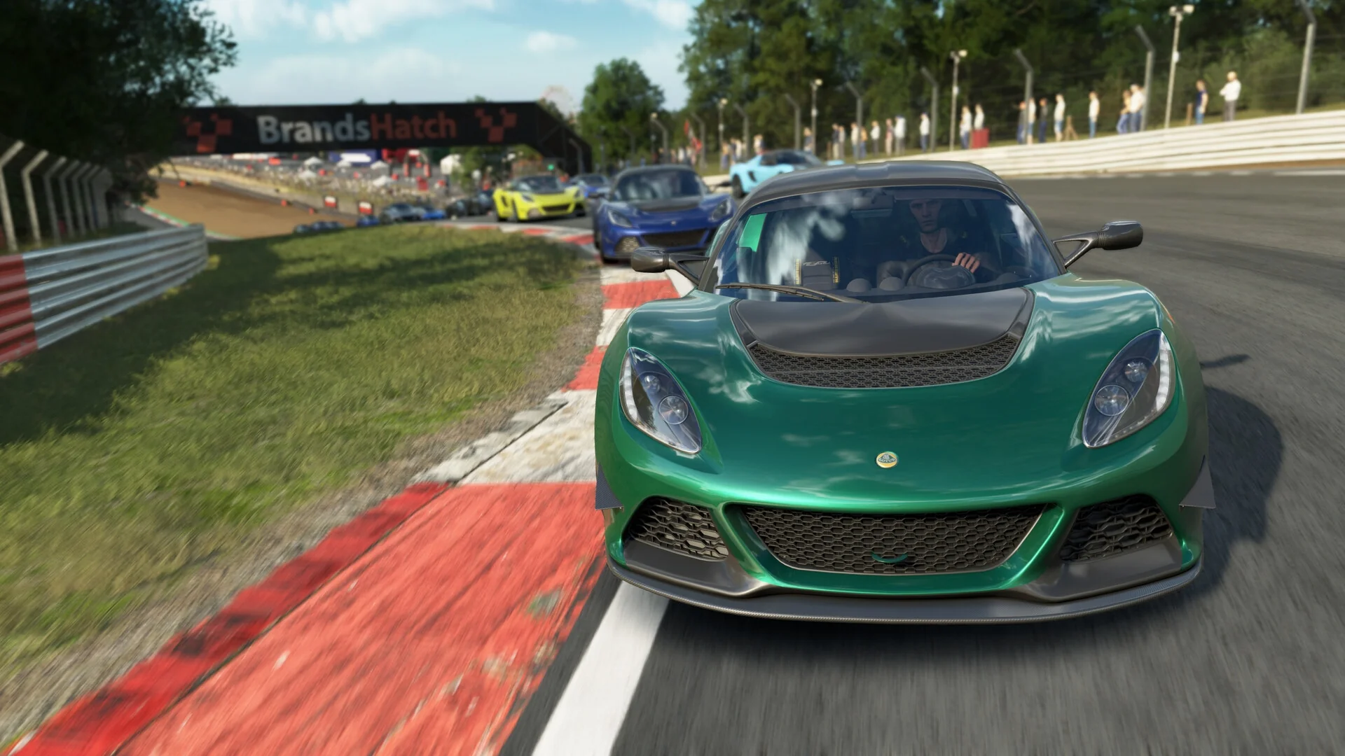 Miniatura 113