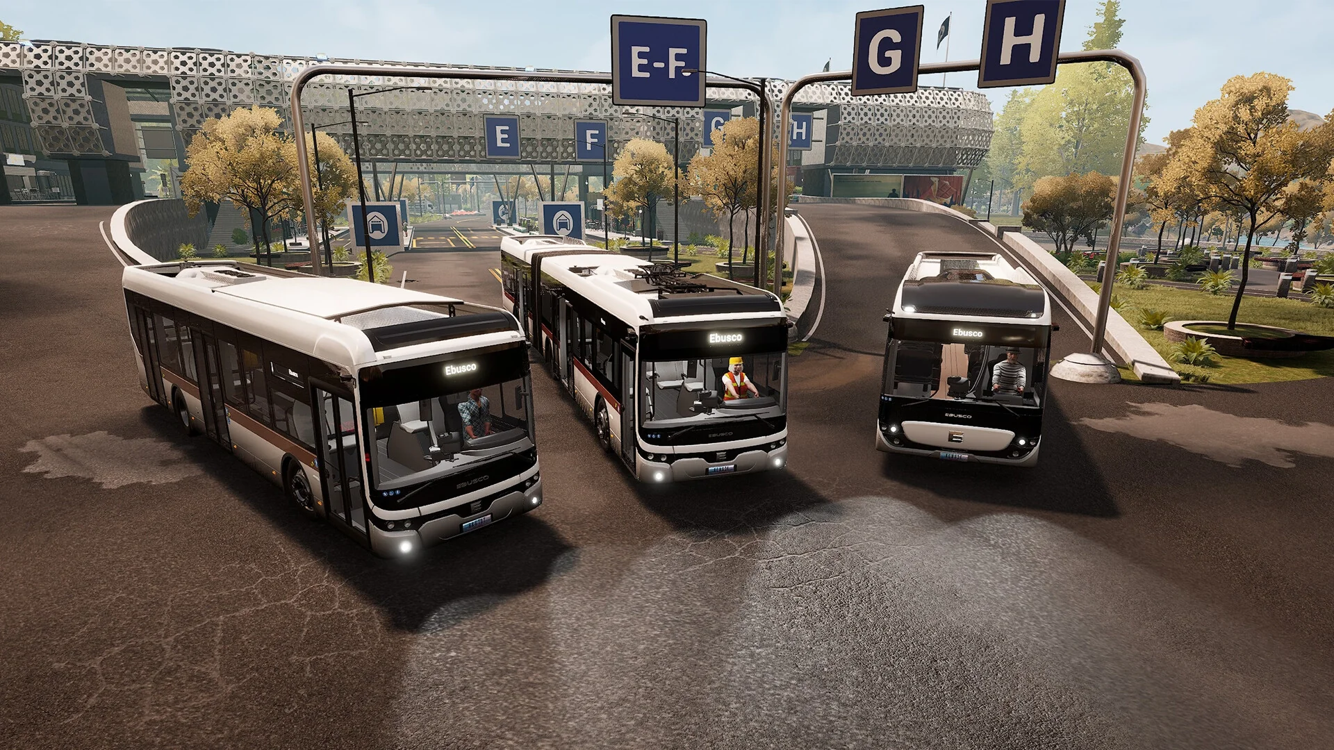 Miniatura 8
