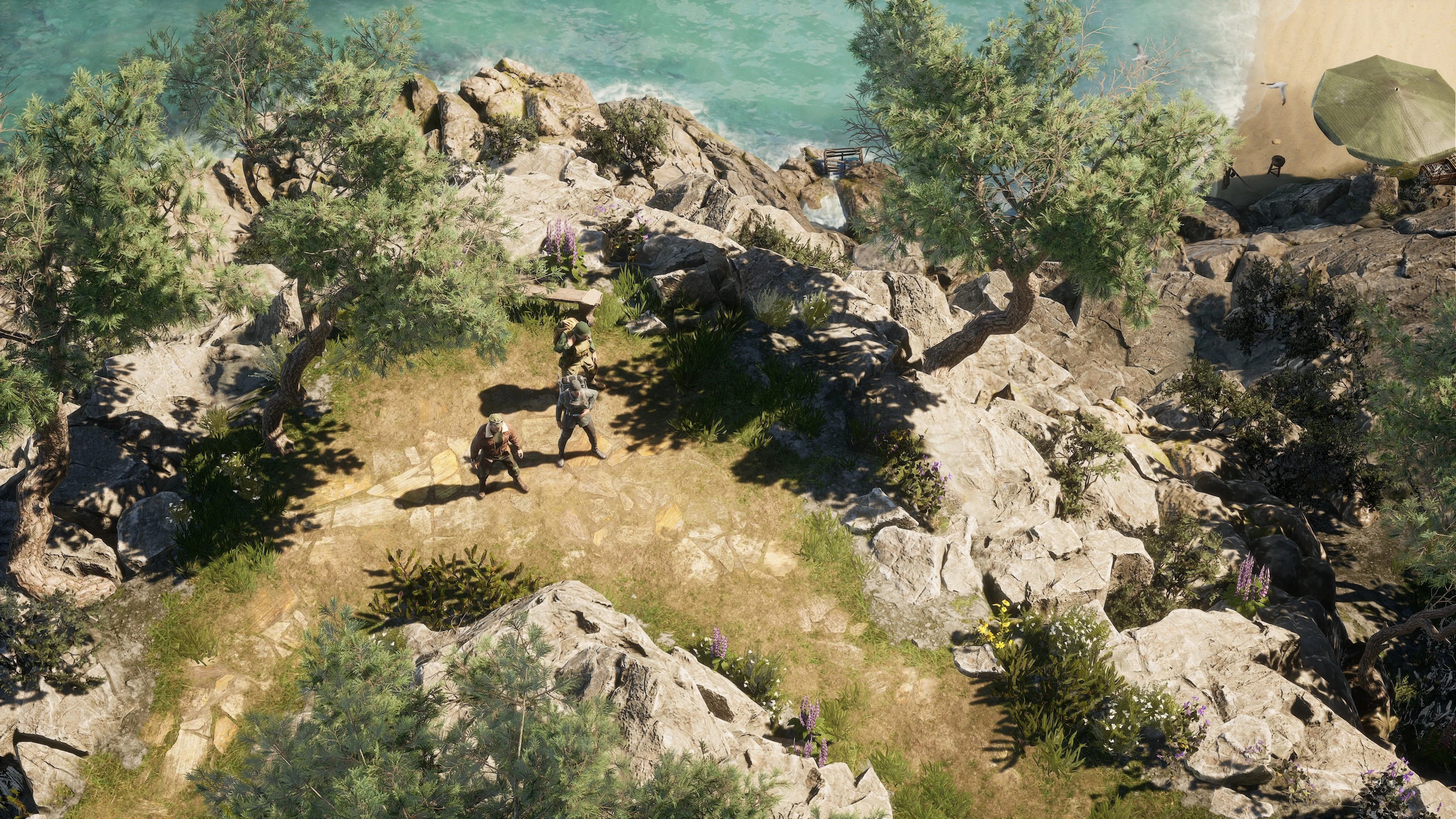 Miniatura 7
