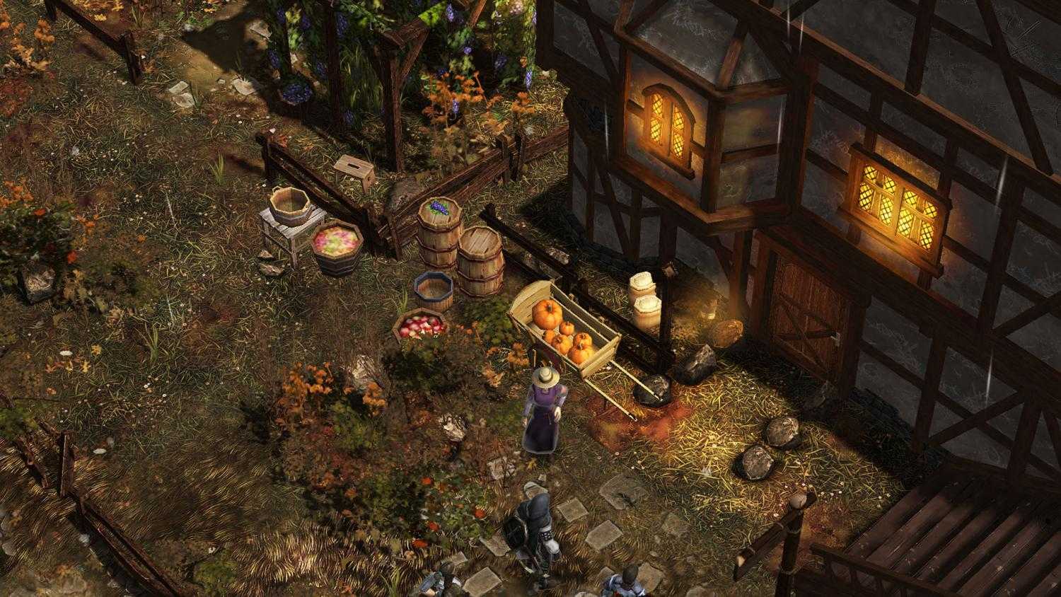 Miniatura 12