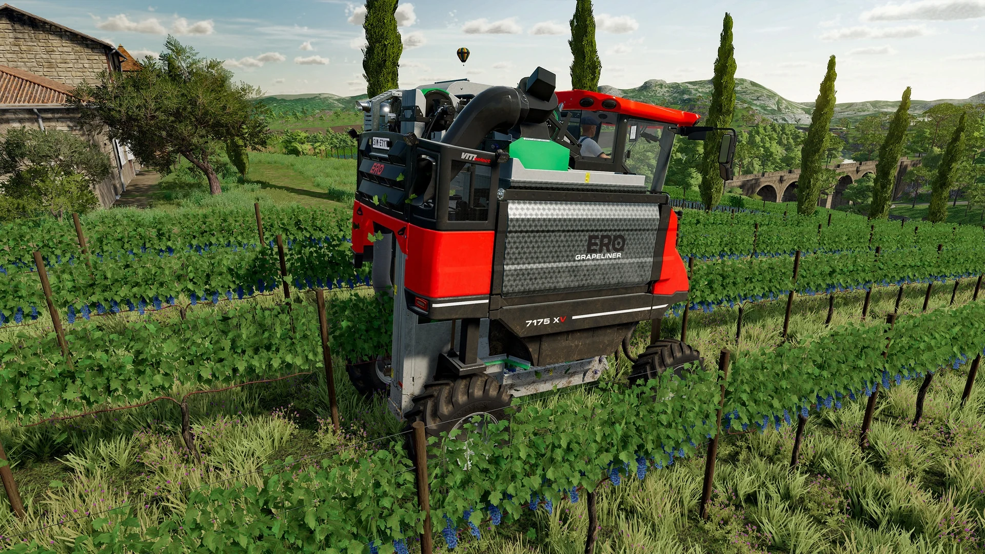 Miniatura 6