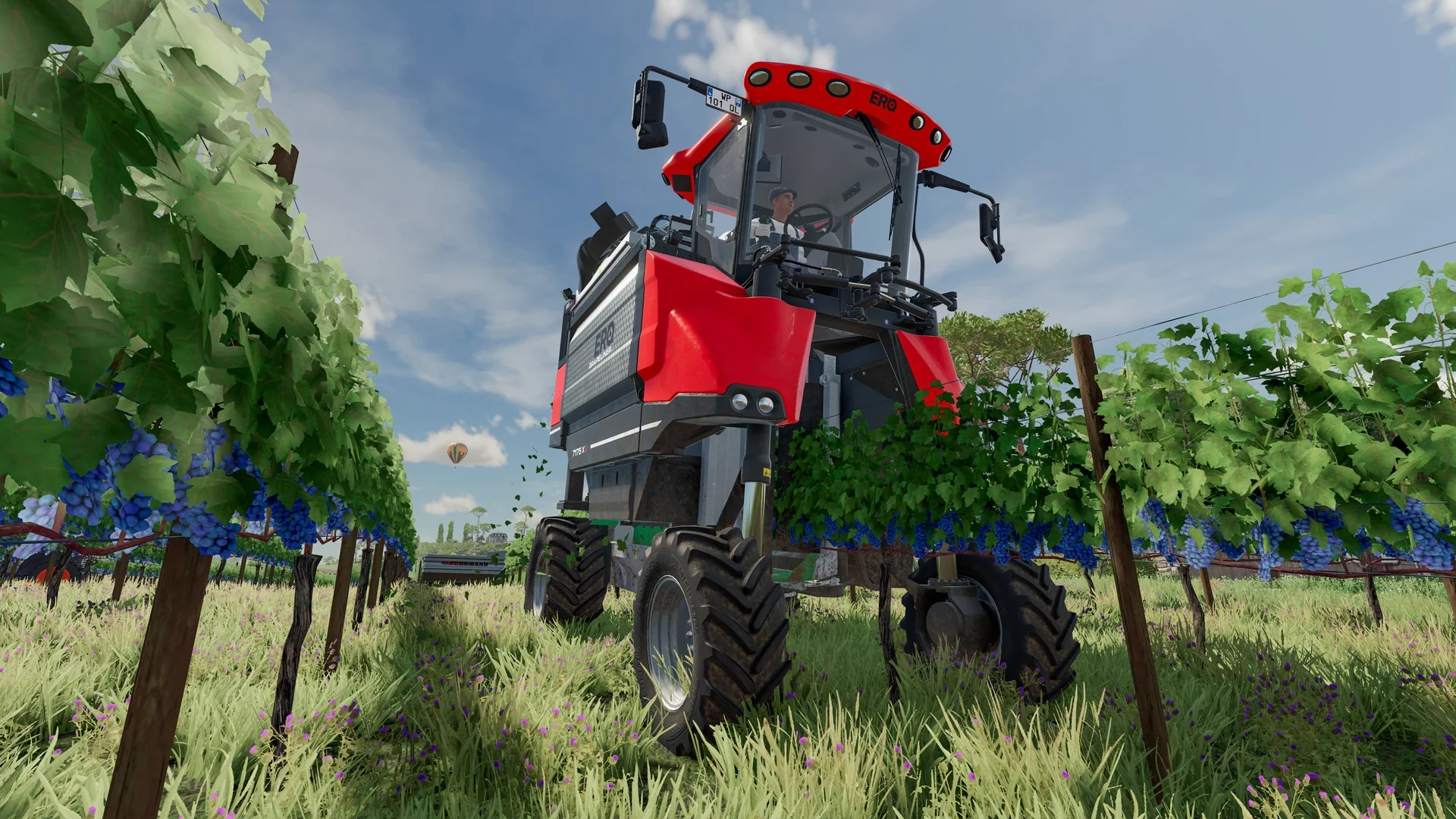 Miniatura 8