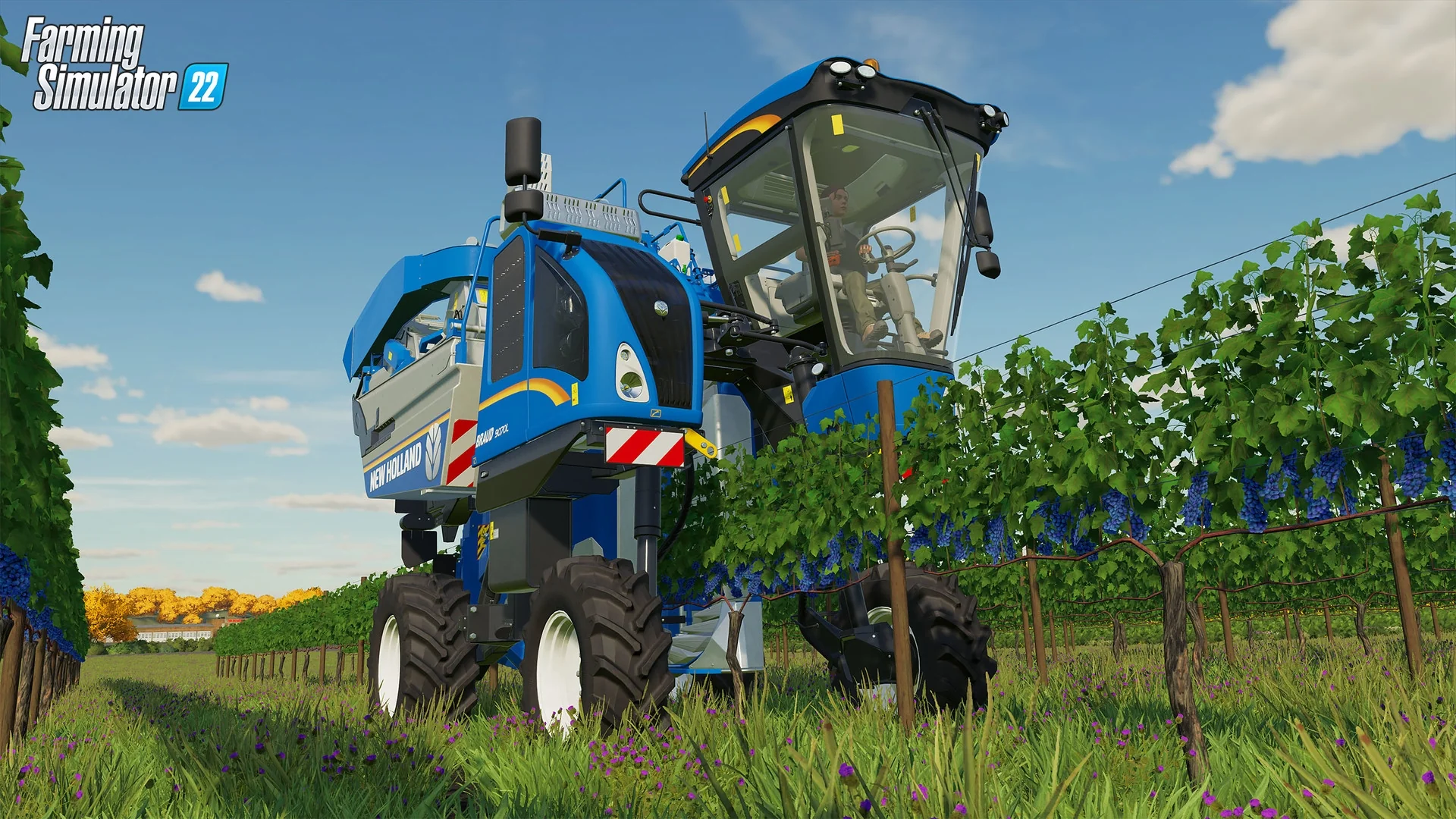 Miniatura 10