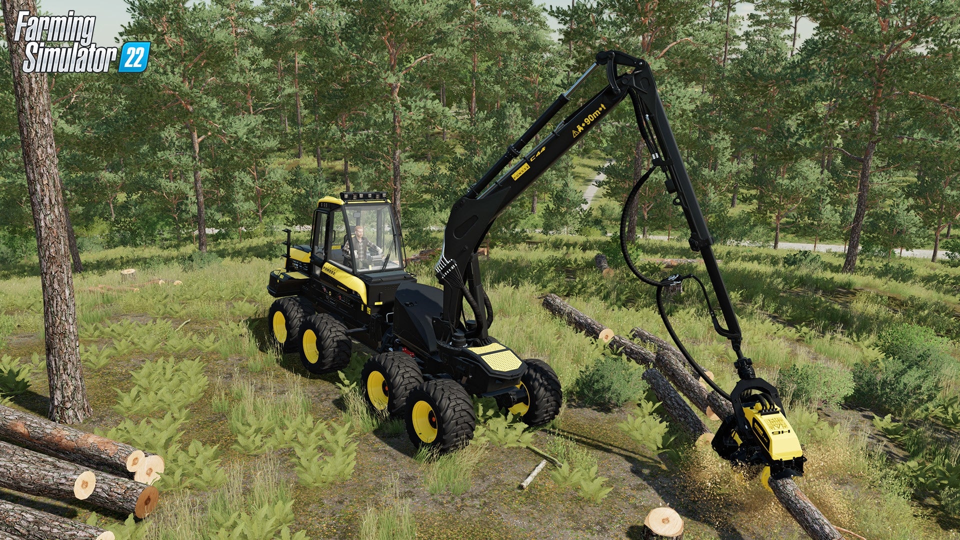 Miniatura 15