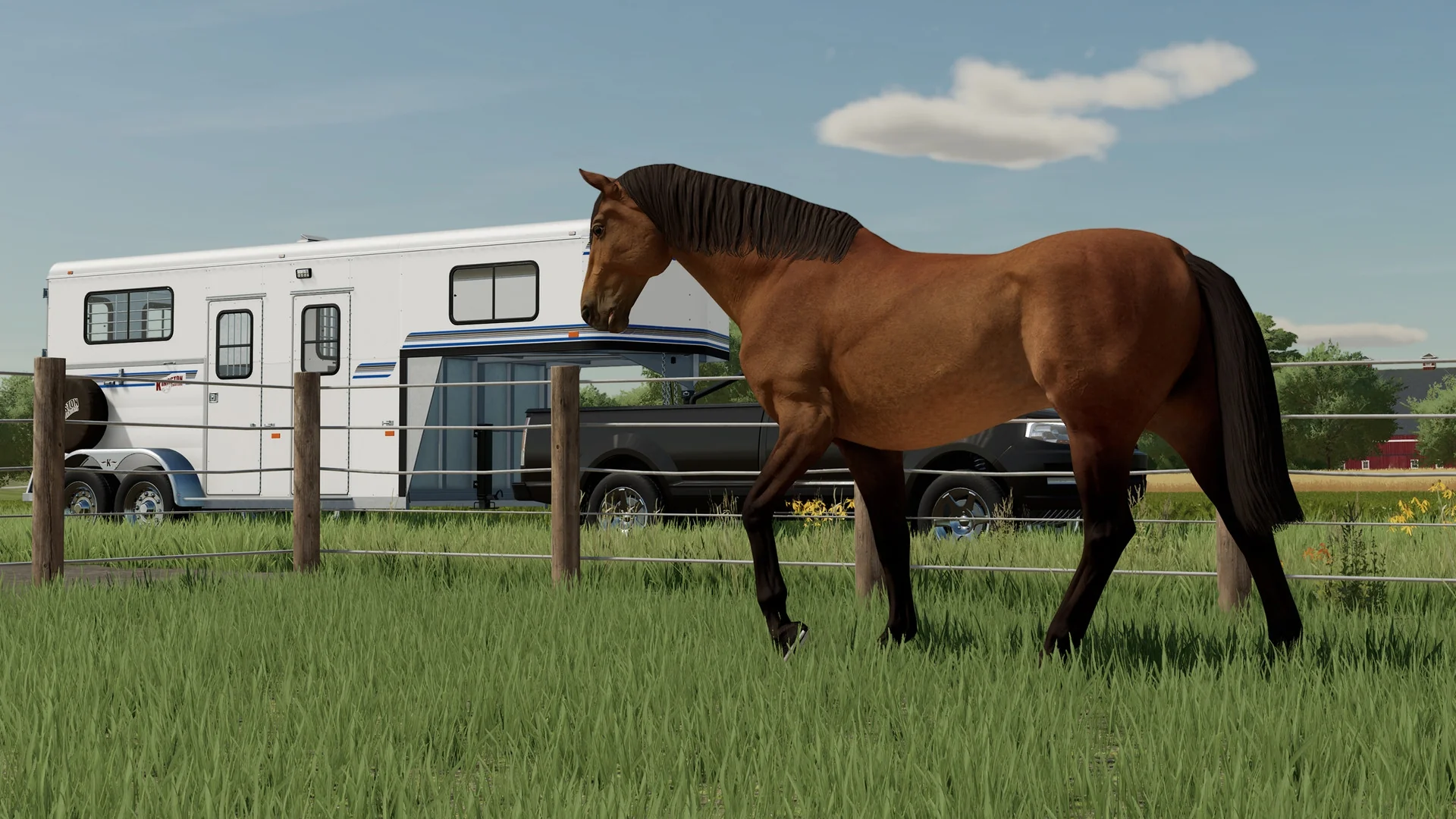Miniatura 17