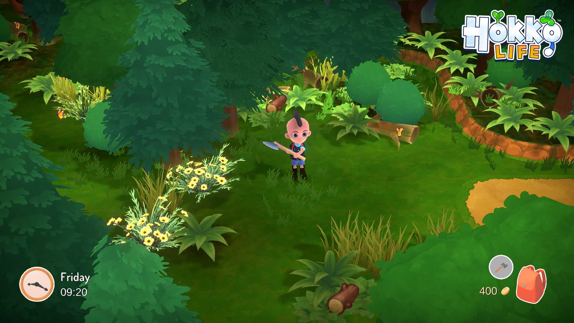 Miniatura 6