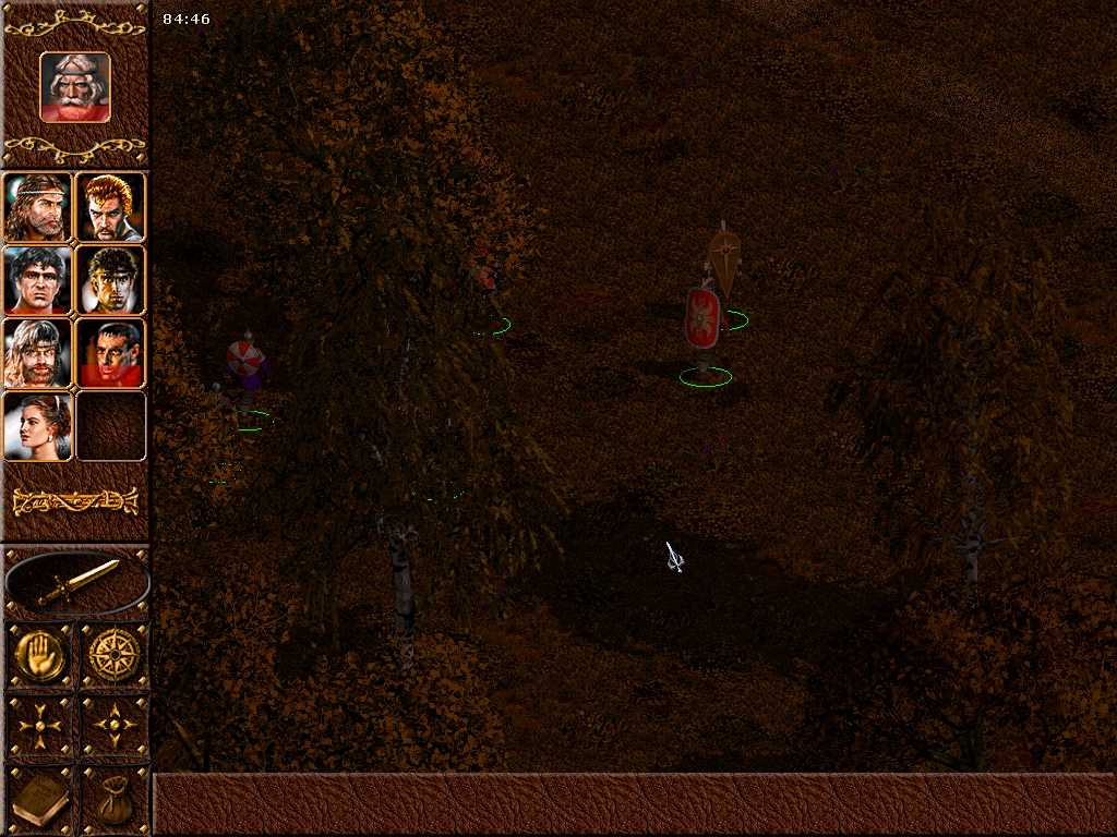 Miniatura 6