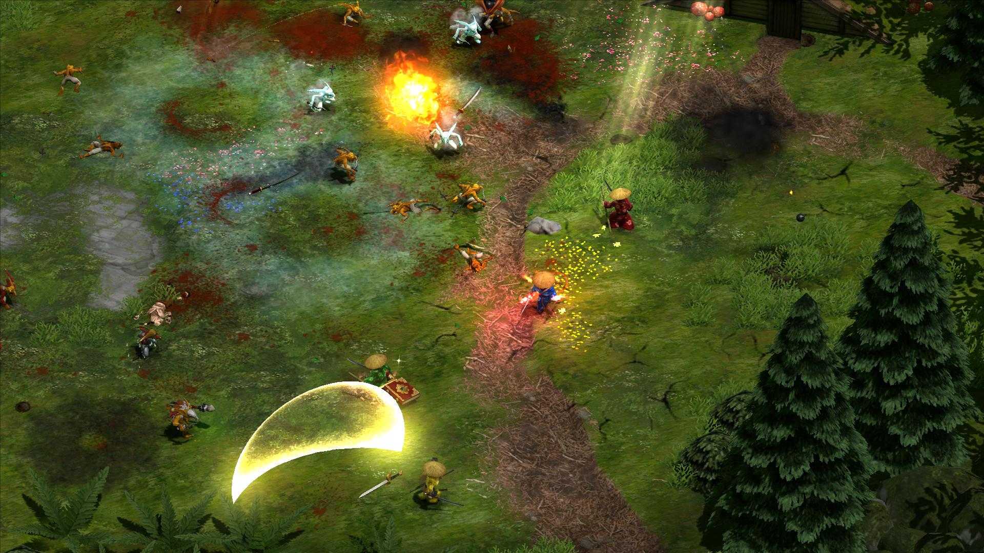 Miniatura 5