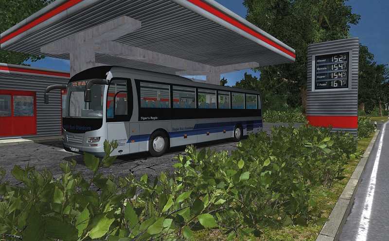 Miniatura 10