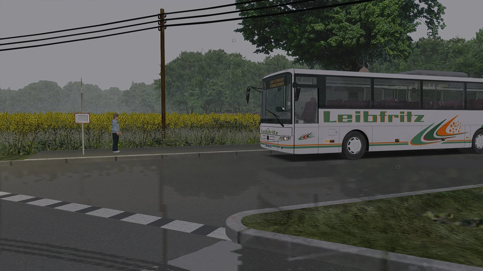 Miniatura 14