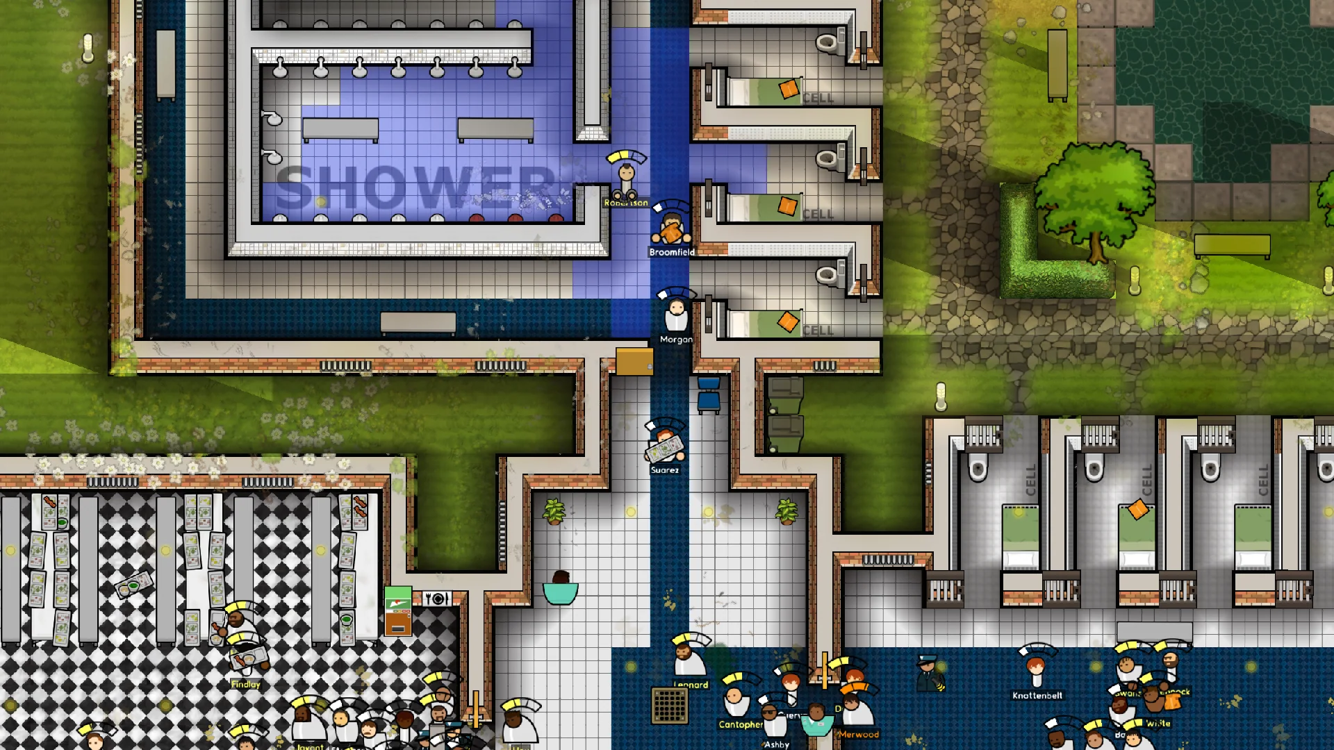 Miniatura 17