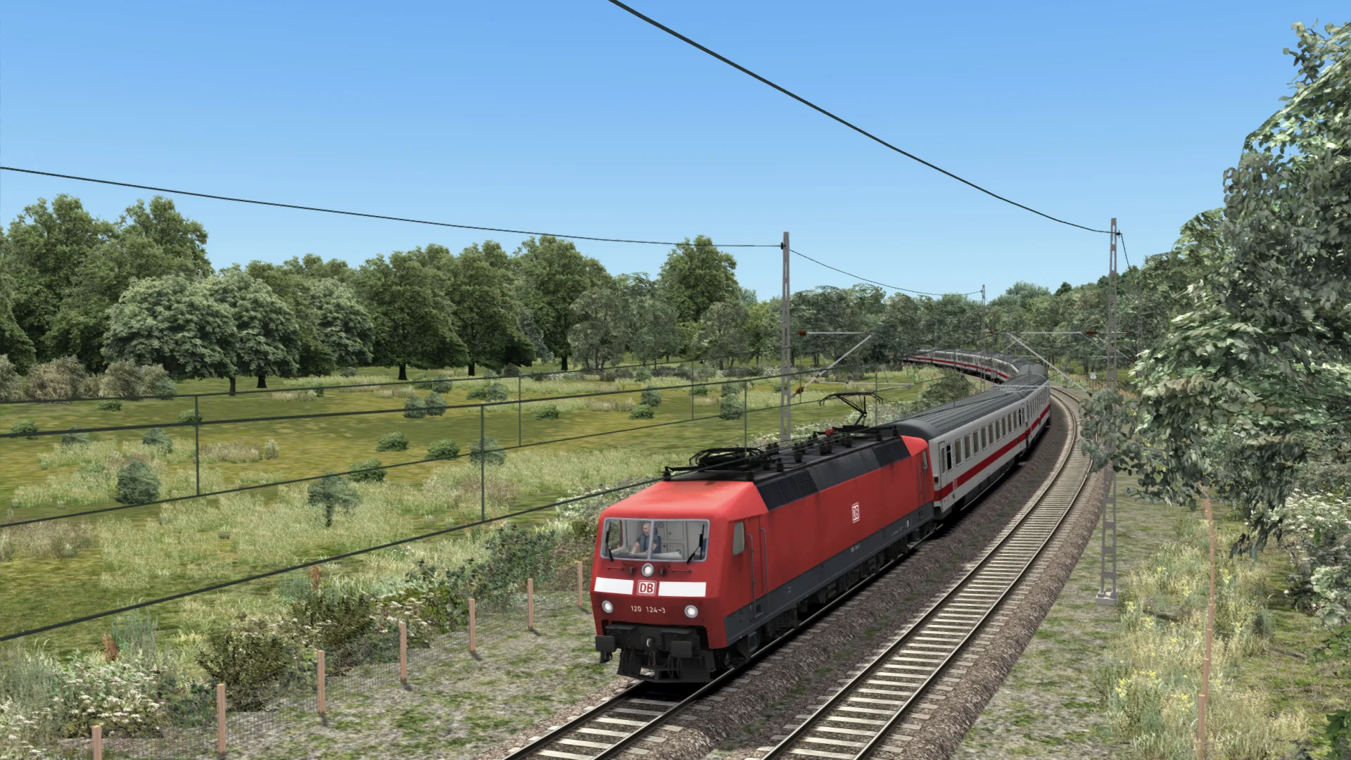Miniatura 7