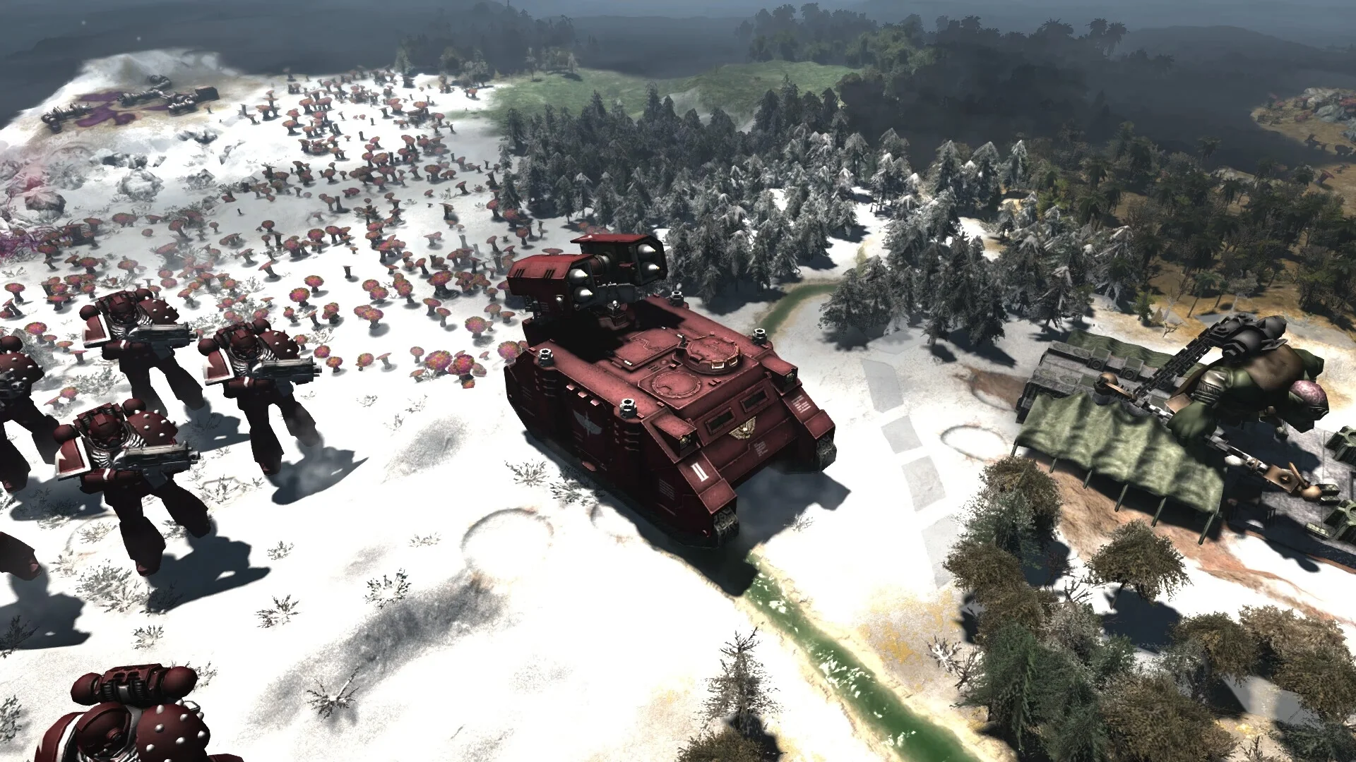 Miniatura 8